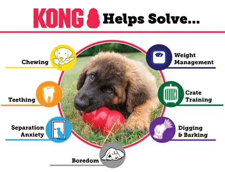 Kong Safety: Ensuring a Smooth and Injury-Free Experience